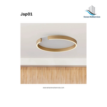 Load image into Gallery viewer, Minimalist Ceiling Lamp