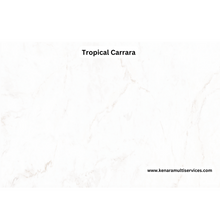 Load image into Gallery viewer, White Cava Collection